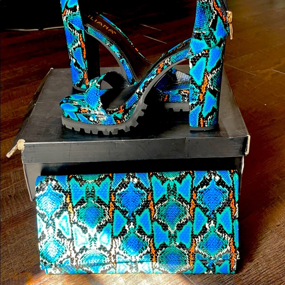 Shoe and matching clutch
